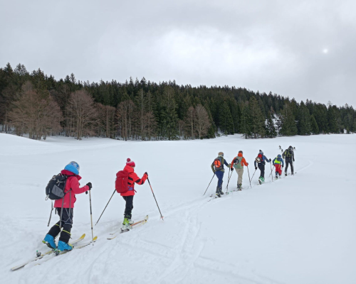 SKIMO Veranstaltungen – Skibergsteigen für Kinder